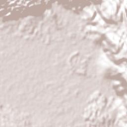 Bogue Terrain Map