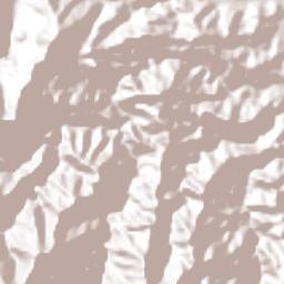 Durham Terrain Map