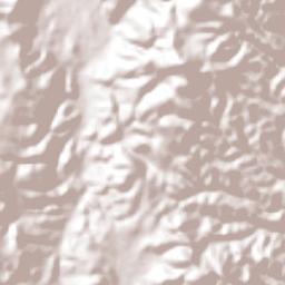 Coacoyula de Álvarez Terrain Map