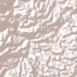 Xicotlán Terrain Map