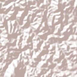 Chila de la Sal Terrain Map