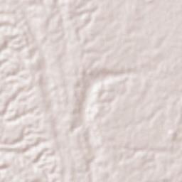 Lindavista Terrain Map