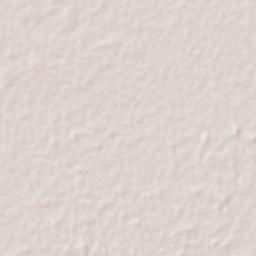 Blasillo 1ra. Sección (Nicolás Bravo) Terrain Map