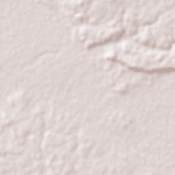 Calakmul Terrain Map