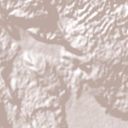 Richmond Park Terrain Map