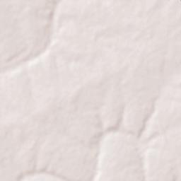 Nira Narsingpur Terrain Map