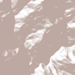 Mazatlán Villa de Flores Terrain Map