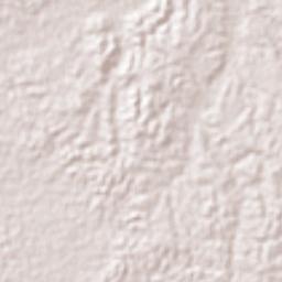 San Benito Encinal Terrain Map
