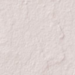 El Triunfo Terrain Map