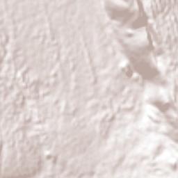 Barbary Hall Terrain Map