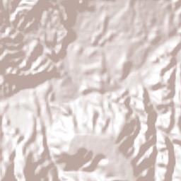 San Miguel Tecuiciapan Terrain Map