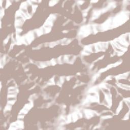 Santa María Camotlán Terrain Map