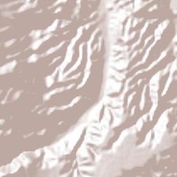 Xochipala Terrain Map
