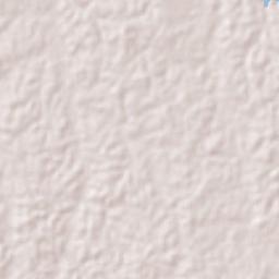 El Carmen (El Limón) Terrain Map