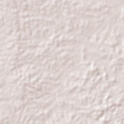 Benito González Terrain Map