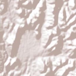 Zapotitlán Lagunas Terrain Map