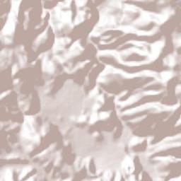 Zitlala Terrain Map