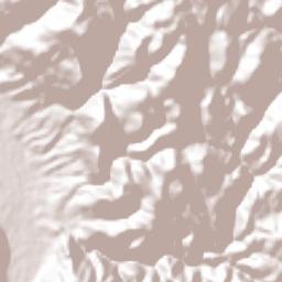 Alpoyeca Terrain Map