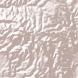 San Sebastián del Monte Terrain Map