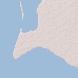 Codrington Terrain Map