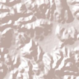 Lodo Grande Terrain Map