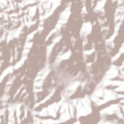 Tlachichilco Terrain Map