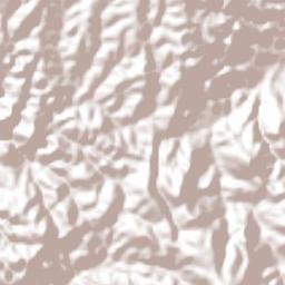 Santa Cruz de Bravo Terrain Map
