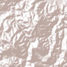 San Lorenzo Victoria Terrain Map