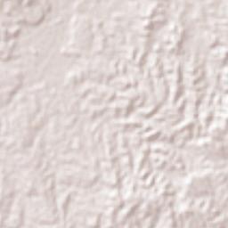Nuevo Ixcatlán Terrain Map