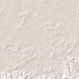 Nuevo Nicapa Terrain Map