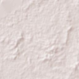 Estapilla Terrain Map