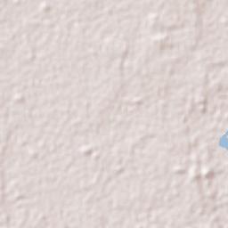 San Carlos Terrain Map