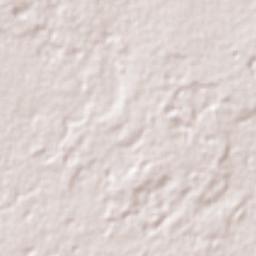 Municipio de San Andrés Terrain Map