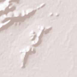 Elamanchili Terrain Map