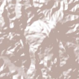 Tlaxinga (Clatzinga) Terrain Map