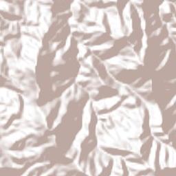 San Miguel Monteverde Terrain Map