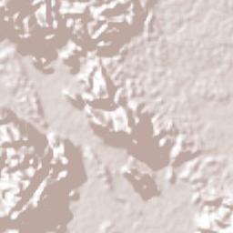 Xicoténcatl Terrain Map