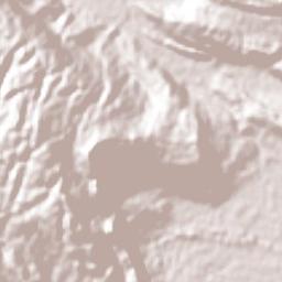 Salto de Agua Terrain Map