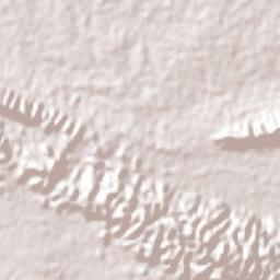 Arena de Hidalgo Terrain Map