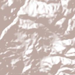 Palo Blanco Terrain Map