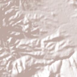 Santo Domingo Tlatayapam Terrain Map