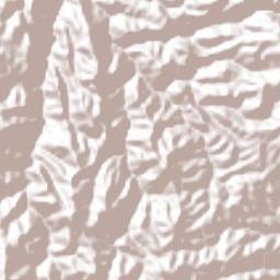Santiago Tenango Terrain Map