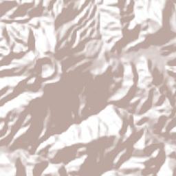 Francisco León Terrain Map