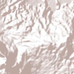 Mariscal Subikuski Terrain Map
