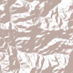 San Rafael Terrain Map