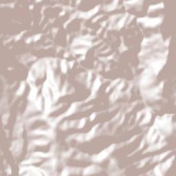 San Juan Diuxi Terrain Map