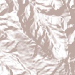 Chapallal Grande Terrain Map