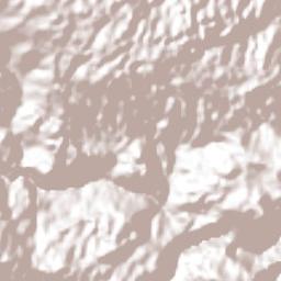 Amado Nervo Terrain Map