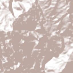 Rincón Chamula Terrain Map