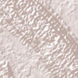 Nuevo Francisco León Terrain Map